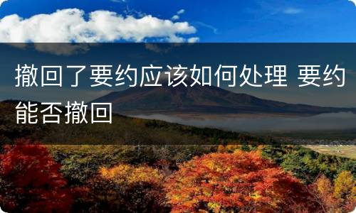 撤回了要约应该如何处理 要约能否撤回