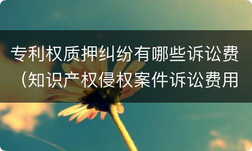 专利权质押纠纷有哪些诉讼费（知识产权侵权案件诉讼费用标准）