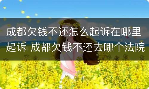 成都欠钱不还怎么起诉在哪里起诉 成都欠钱不还去哪个法院起诉