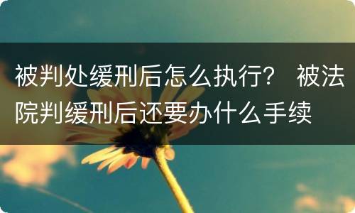 被判处缓刑后怎么执行？ 被法院判缓刑后还要办什么手续