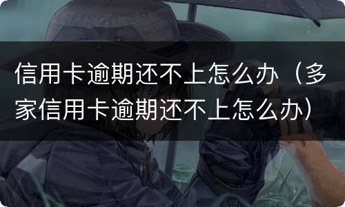 信用卡逾期还不上怎么办（多家信用卡逾期还不上怎么办）