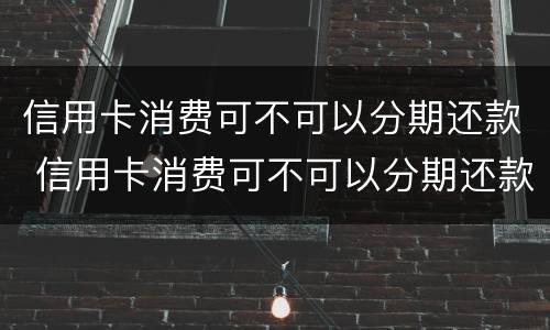 信用卡消费可不可以分期还款 信用卡消费可不可以分期还款买手机