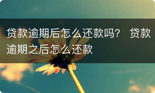 贷款逾期后怎么还款吗？ 贷款逾期之后怎么还款