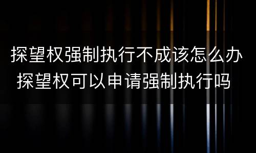 探望权强制执行不成该怎么办 探望权可以申请强制执行吗