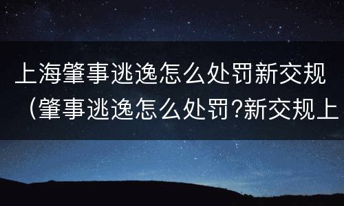 上海肇事逃逸怎么处罚新交规（肇事逃逸怎么处罚?新交规上线）