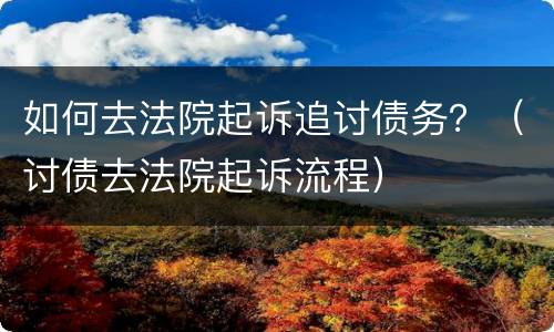如何去法院起诉追讨债务？（讨债去法院起诉流程）