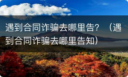 遇到合同诈骗去哪里告？（遇到合同诈骗去哪里告知）