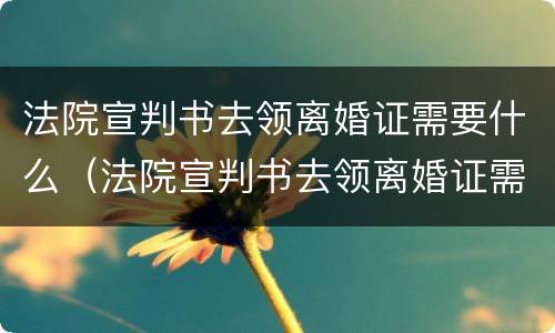 法院宣判书去领离婚证需要什么（法院宣判书去领离婚证需要什么资料）