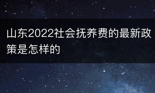 山东2022社会抚养费的最新政策是怎样的