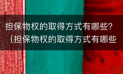 担保物权的取得方式有哪些？（担保物权的取得方式有哪些呢）