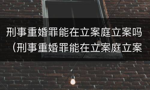 刑事重婚罪能在立案庭立案吗（刑事重婚罪能在立案庭立案吗知乎）
