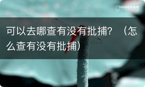 可以去哪查有没有批捕？（怎么查有没有批捕）