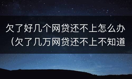 欠了好几个网贷还不上怎么办（欠了几万网贷还不上不知道怎么办）