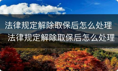 法律规定解除取保后怎么处理 法律规定解除取保后怎么处理呢
