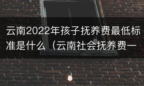 云南2022年孩子抚养费最低标准是什么（云南社会抚养费一般多少钱）