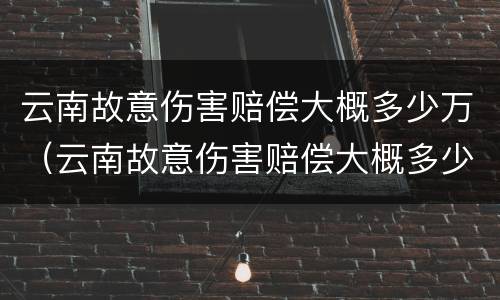 云南故意伤害赔偿大概多少万（云南故意伤害赔偿大概多少万以上）