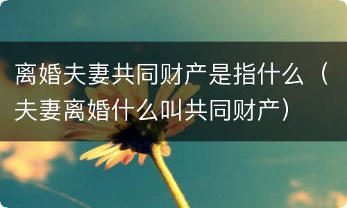 离婚夫妻共同财产是指什么（夫妻离婚什么叫共同财产）