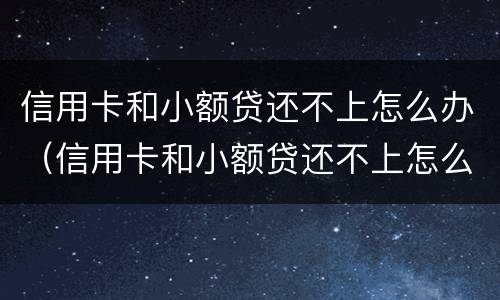 信用卡和小额贷还不上怎么办（信用卡和小额贷还不上怎么办呀）