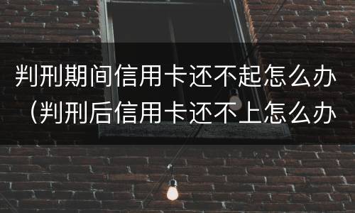 判刑期间信用卡还不起怎么办（判刑后信用卡还不上怎么办）