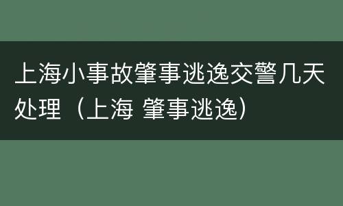 上海小事故肇事逃逸交警几天处理（上海 肇事逃逸）