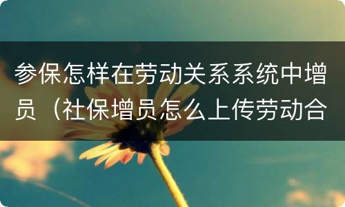 参保怎样在劳动关系系统中增员（社保增员怎么上传劳动合同）