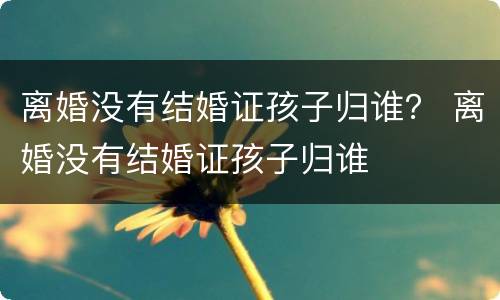 离婚没有结婚证孩子归谁？ 离婚没有结婚证孩子归谁