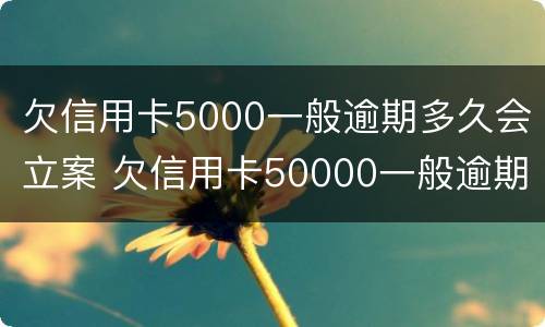 欠信用卡5000一般逾期多久会立案 欠信用卡50000一般逾期多久会立案