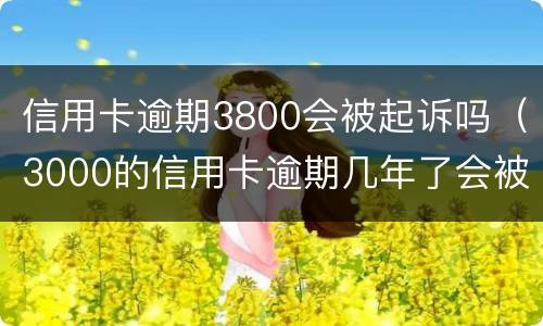 信用卡逾期3800会被起诉吗（3000的信用卡逾期几年了会被告吗）