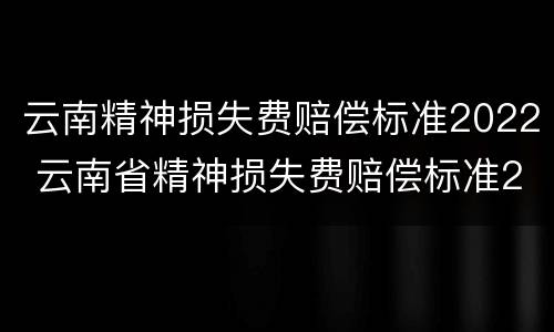 云南精神损失费赔偿标准2022 云南省精神损失费赔偿标准2020