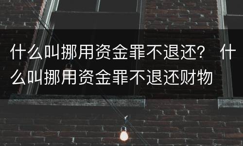 什么叫挪用资金罪不退还？ 什么叫挪用资金罪不退还财物