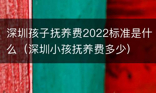 深圳孩子抚养费2022标准是什么（深圳小孩抚养费多少）