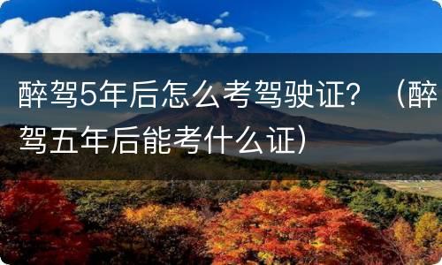 醉驾5年后怎么考驾驶证？（醉驾五年后能考什么证）