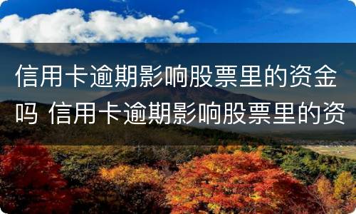 信用卡逾期影响股票里的资金吗 信用卡逾期影响股票里的资金吗知乎