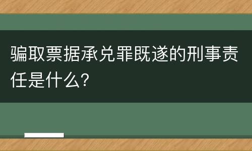 骗取票据承兑罪既遂的刑事责任是什么？