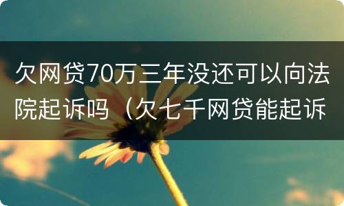 欠网贷70万三年没还可以向法院起诉吗（欠七千网贷能起诉吗）