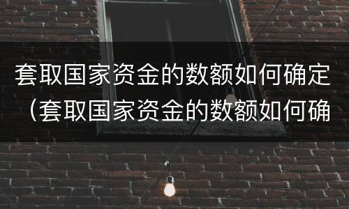 套取国家资金的数额如何确定（套取国家资金的数额如何确定罪名）