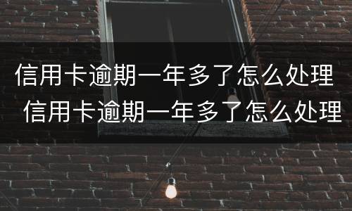 信用卡逾期一年多了怎么处理 信用卡逾期一年多了怎么处理最好