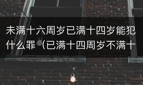 未满十六周岁已满十四岁能犯什么罪（已满十四周岁不满十六周岁的人犯什么罪不负刑事责任）