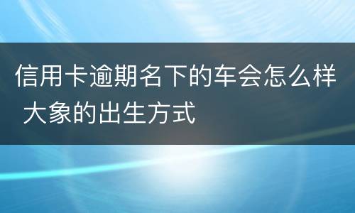 信用卡逾期名下的车会怎么样 大象的出生方式