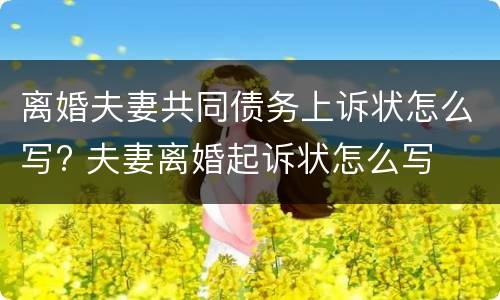 离婚夫妻共同债务上诉状怎么写? 夫妻离婚起诉状怎么写