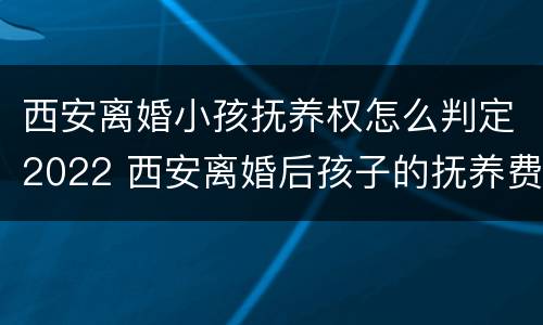 西安离婚小孩抚养权怎么判定2022 西安离婚后孩子的抚养费怎么算
