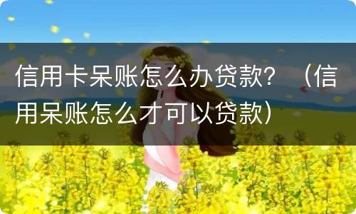 信用卡呆账怎么办贷款？（信用呆账怎么才可以贷款）