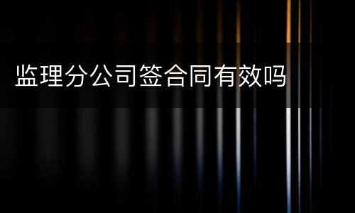 监理分公司签合同有效吗