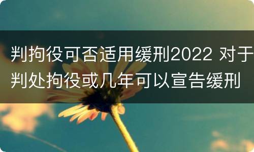 判拘役可否适用缓刑2022 对于判处拘役或几年可以宣告缓刑