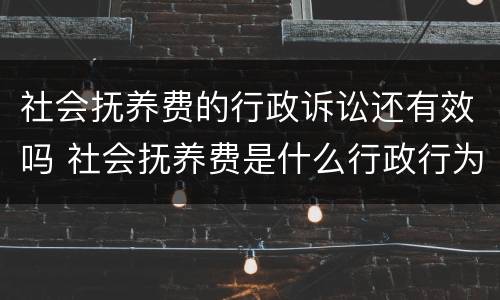 社会抚养费的行政诉讼还有效吗 社会抚养费是什么行政行为