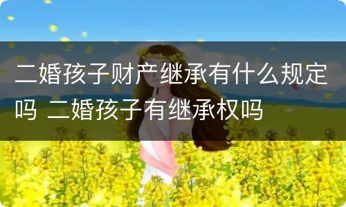 二婚孩子财产继承有什么规定吗 二婚孩子有继承权吗
