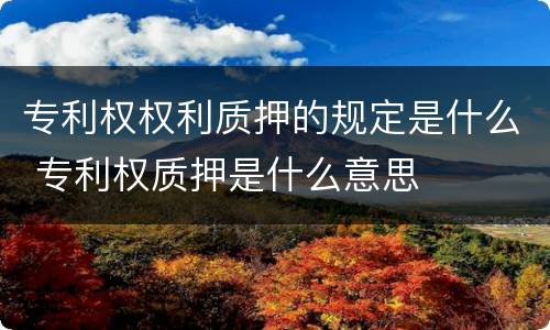 专利权权利质押的规定是什么 专利权质押是什么意思
