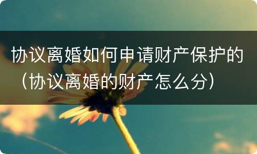 协议离婚如何申请财产保护的（协议离婚的财产怎么分）