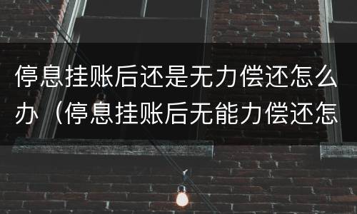 停息挂账后还是无力偿还怎么办（停息挂账后无能力偿还怎么办）