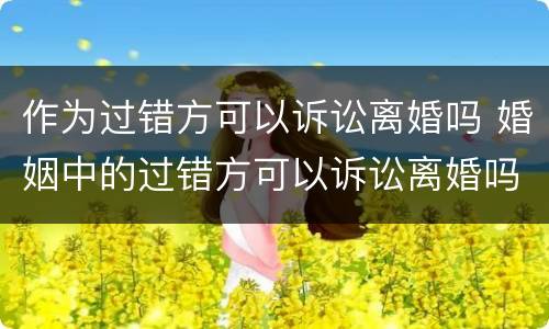 作为过错方可以诉讼离婚吗 婚姻中的过错方可以诉讼离婚吗?